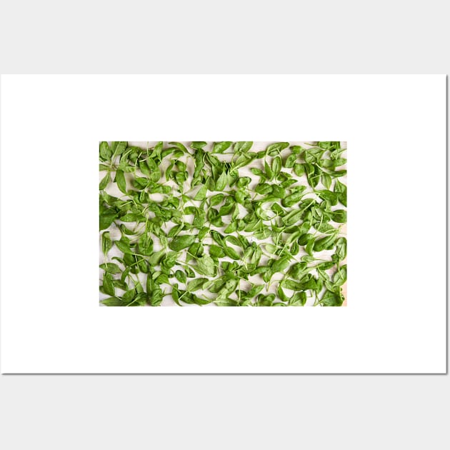 Fresh baby spinach Wall Art by naturalis